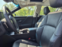 Thumbnail image of 2022 Lexus ES 350 at Suntrup Ford Kirkwood