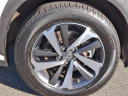 Thumbnail image of 2019 Lexus NX 300 at Brogan Cadillac of Totowa
