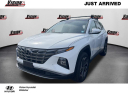 2024 Hyundai TUCSON Limited at Vision Hyundai Webster