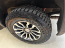 Thumbnail image of 2023 GMC Sierra 1500 at Janzen Gmc