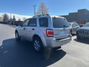 Thumbnail image of 2009 Ford Escape at Golling Chrysler Jeep Dodge Ram of Chelsea