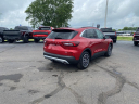 Thumbnail image of 2024 Ford Escape Plug-In Hybrid at Lasco Ford