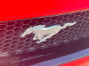 Thumbnail image of 2021 Ford Mustang at Wayne Akers Ford