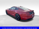 Thumbnail image of 2021 Ford Mustang at Wayne Akers Ford
