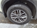 Thumbnail image of 2023 Nissan Rogue at Nissan 46