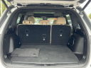 Thumbnail image of 2024 Jeep Grand Cherokee at Empire Chrysler Dodge Jeep Ram