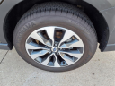 Thumbnail image of 2024 Subaru Outback at Harvey Subaru