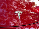 Thumbnail image of 2024 Tesla Model Y at Kendall Dodge Chrysler Jeep Ram