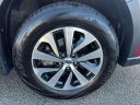 Thumbnail image of 2024 Subaru Outback at Subaru of Stamford