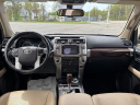 Thumbnail image of 2019 Toyota 4Runner at Toyota of Scranton