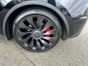Thumbnail image of 2023 Tesla Model Y at Rockland Motors