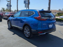 Thumbnail image of 2021 Honda CR-V at Westminster Automotive Holdings - NEW