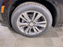 Thumbnail image of 2025 Cadillac XT6 at Jim Riehl's Friendly Honda