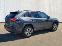 Thumbnail image of 2024 Toyota RAV4 at Cole Nissan