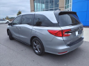 Thumbnail image of 2022 Honda Odyssey at Gallatin Honda