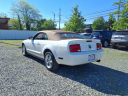 Thumbnail image of 2008 Ford Mustang at Manahawkin Auto Sales