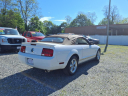 Thumbnail image of 2008 Ford Mustang at Manahawkin Auto Sales