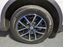 Thumbnail image of 2021 Volkswagen Tiguan at AMSI-GaryYeomansHonda-New of Daytona Beach, FL