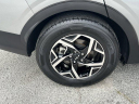 Thumbnail image of 2024 Kia Sportage at ScottEvansDodge of Carrollton, GA