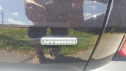Thumbnail image of 2020 Ford Escape Hybrid at Roe Motors