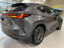 Thumbnail image of 2022 Lexus NX 350 at Lexus of Southampton