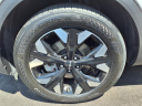 Thumbnail image of 2023 Kia Sportage at Generation Kia