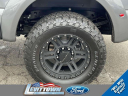 Thumbnail image of 2024 Ford F-250 Super Duty at Levittown Ford
