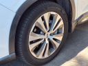 Thumbnail image of 2020 Subaru Ascent at Shottenkirk Honda Of Davis