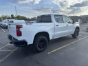 Thumbnail image of 2024 Chevrolet Silverado 1500 at Uftring Chevy USED
