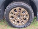 Thumbnail image of 2021 Honda Ridgeline at Honda of Bridgewater