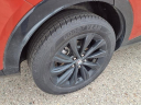 Thumbnail image of 2024 Buick Envista at Bill Crispin Chevrolet