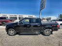Thumbnail image of 2019 Ford F-150 at Friesen Chrysler Dodge Jeep Ram