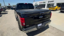Thumbnail image of 2019 Ford F-150 at Friesen Chrysler Dodge Jeep Ram