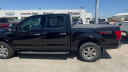 Thumbnail image of 2019 Ford F-150 at Friesen Chrysler Dodge Jeep Ram