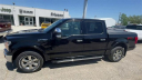 Thumbnail image of 2019 Ford F-150 at Friesen Chrysler Dodge Jeep Ram