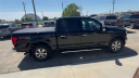 Thumbnail image of 2019 Ford F-150 at Friesen Chrysler Dodge Jeep Ram