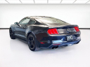 Thumbnail image of 2019 Ford Mustang at Stg Auto Group Montclair