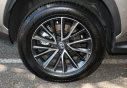 Thumbnail image of 2024 Lexus NX 350h at StokesBrownToyotaHiltonHead NEW