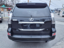 Thumbnail image of 2019 Lexus GX 460 at Brambleton Imports