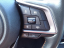 Thumbnail image of 2023 Subaru Crosstrek at Serra Buick Gmc Champaign