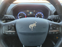 Thumbnail image of 2022 Ford Bronco Sport at Frank Brown Honda GMC