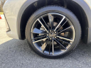 Thumbnail image of 2022 INFINITI QX55 at Empire Genesis of New Rochelle