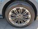 Thumbnail image of 2025 Land Rover Range Rover Evoque at Piazza Jaguar Land Rover Willow Grove