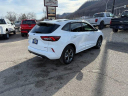 Thumbnail image of 2023 Ford Escape Hybrid at Sugar Loaf Ford USED