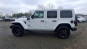 Thumbnail image of 2024 Jeep Wrangler at Nielsen Chrysler Dodge Jeep Ram