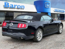 Thumbnail image of 2010 Ford Mustang at Baron Honda
