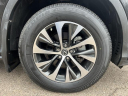 Thumbnail image of 2020 Lexus RX 350 at Golling Chrysler Dodge Jeep Ram