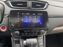 Thumbnail image of 2022 Honda CR-V at PaulMillerBernardsvilleVolkswagen USED