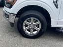 Thumbnail image of 2024 Ford F-150 at Levittown Ford