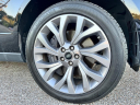 Thumbnail image of 2019 Land Rover Range Rover at EXECUTIVE MOTOR GROUP LLC
